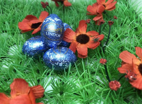 Lindt eitjes blauw 