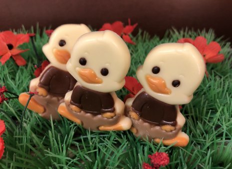 Chocolade eendjes wit 