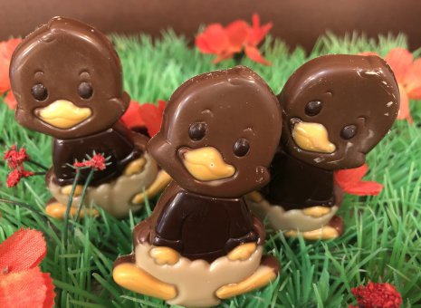 Chocolade eendjes melk