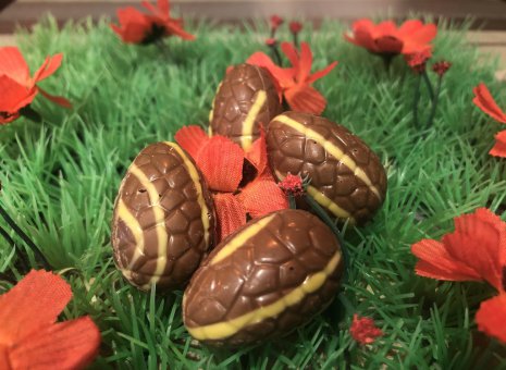 Melk chocolade eitje met ganache