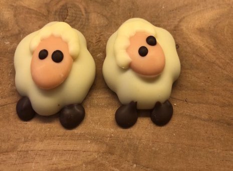 Hazelnoot praliné schaapjes 